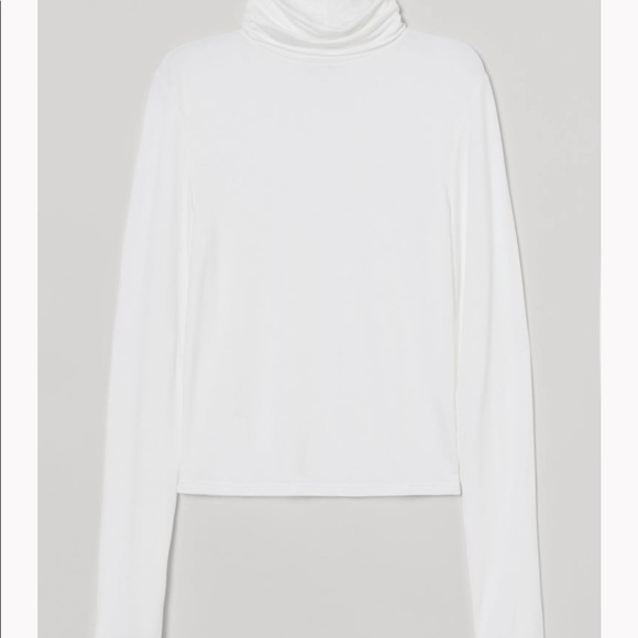 Short Turtleneck Top - Picture 1 of 2